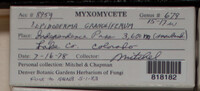 Image Associated With the Occurence